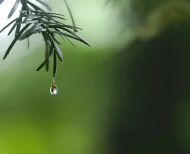 Meditar para mejorar tu concentración